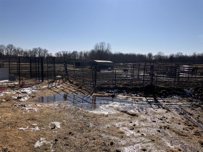 21205 CO. RD. 249, Bloomfield, Missouri 63825, 3 Bedrooms Bedrooms, 8 Rooms Rooms,2 BathroomsBathrooms,Farm,For Sale,CO. RD. 249,MAR25011829