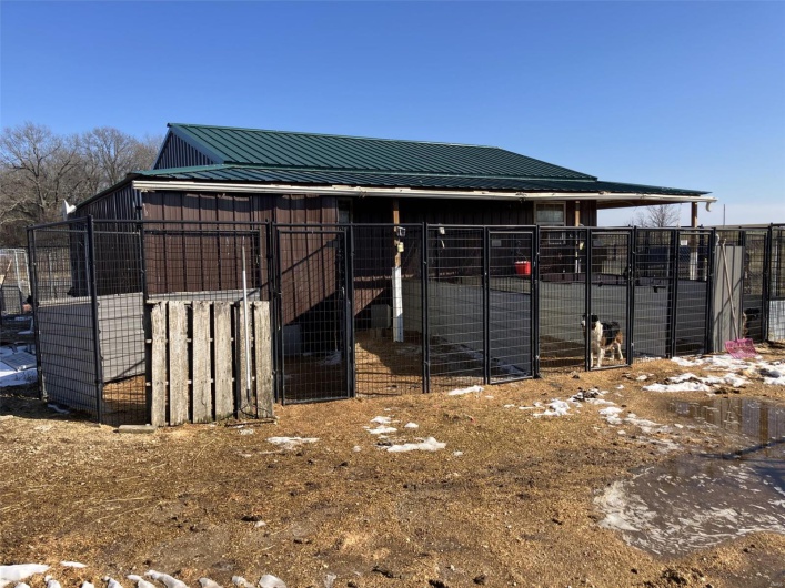 Dog Kennel