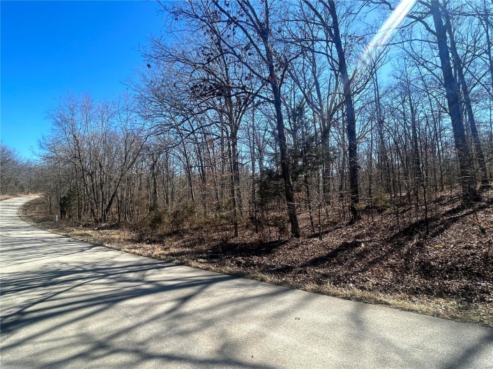 0 County Road 421, Poplar Bluff, Missouri 63901, ,Farm,For Sale,County Road 421,MAR25011818
