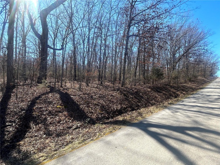 0 County Road 421, Poplar Bluff, Missouri 63901, ,Farm,For Sale,County Road 421,MAR25011818