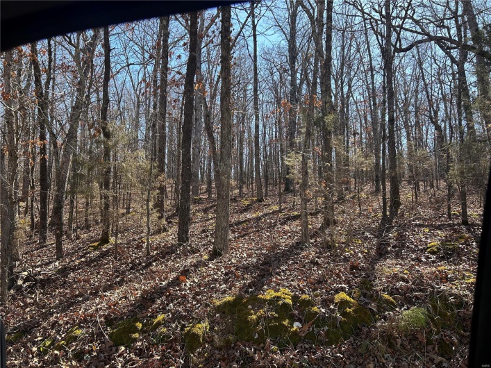 0 County Road 421, Poplar Bluff, Missouri 63901, ,Farm,For Sale,County Road 421,MAR25011818
