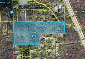 0 So of Co Rd 421, Poplar Bluff, Missouri 63901, ,Farm,For Sale,So of Co Rd 421,MAR25011948