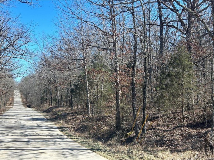 View of street with a wooded view
