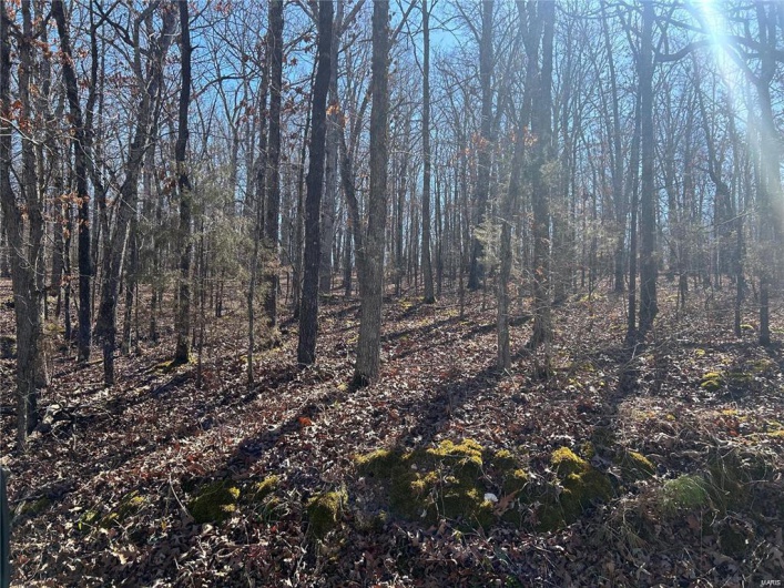 View of landscape featuring a view of trees