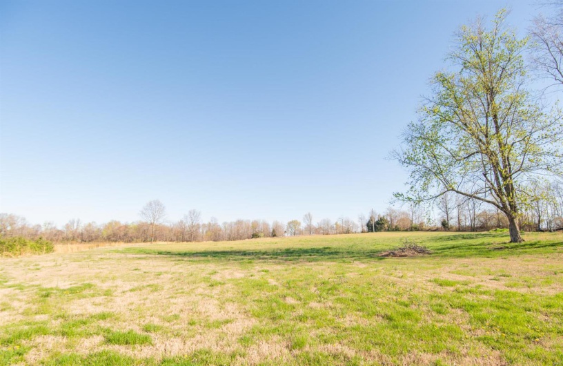 7567 County Road 639, Dexter, Missouri 63841, ,Farm,For Sale,County Road 639,MAR25012042