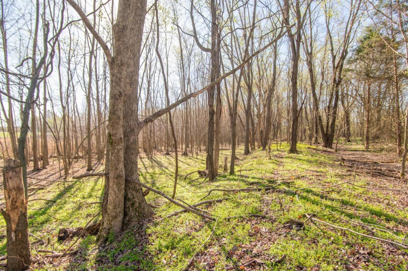 7567 County Road 639, Dexter, Missouri 63841, ,Farm,For Sale,County Road 639,MAR25012042