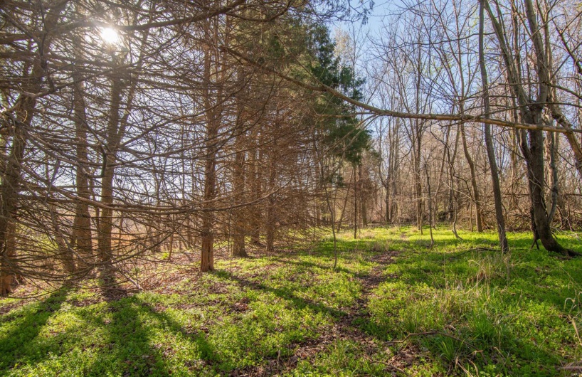 7567 County Road 639, Dexter, Missouri 63841, ,Farm,For Sale,County Road 639,MAR25012042