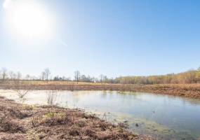 7567 County Road 639, Dexter, Missouri 63841, ,Farm,For Sale,County Road 639,MAR25012042
