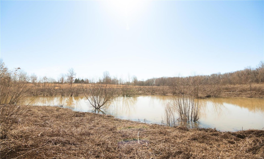 7567 County Road 639, Dexter, Missouri 63841, ,Farm,For Sale,County Road 639,MAR25012042