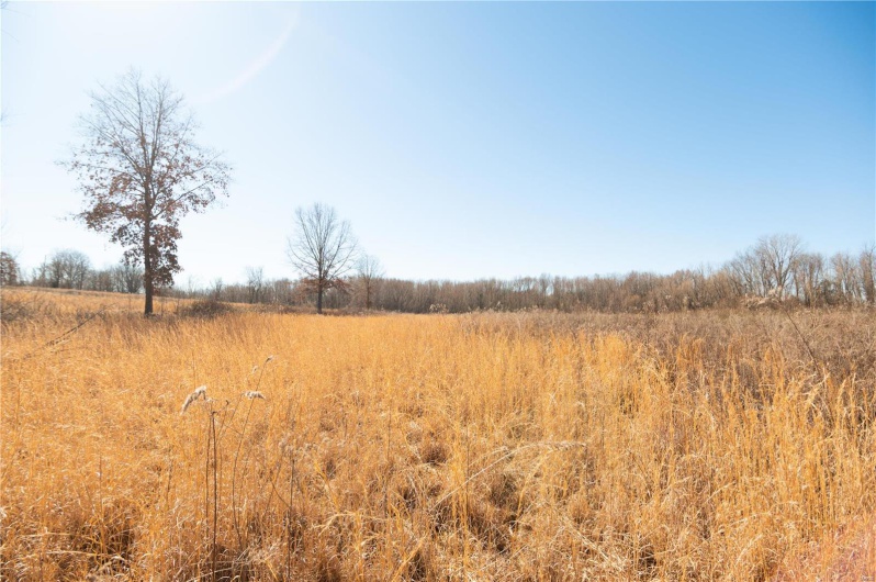 7567 County Road 639, Dexter, Missouri 63841, ,Farm,For Sale,County Road 639,MAR25012042