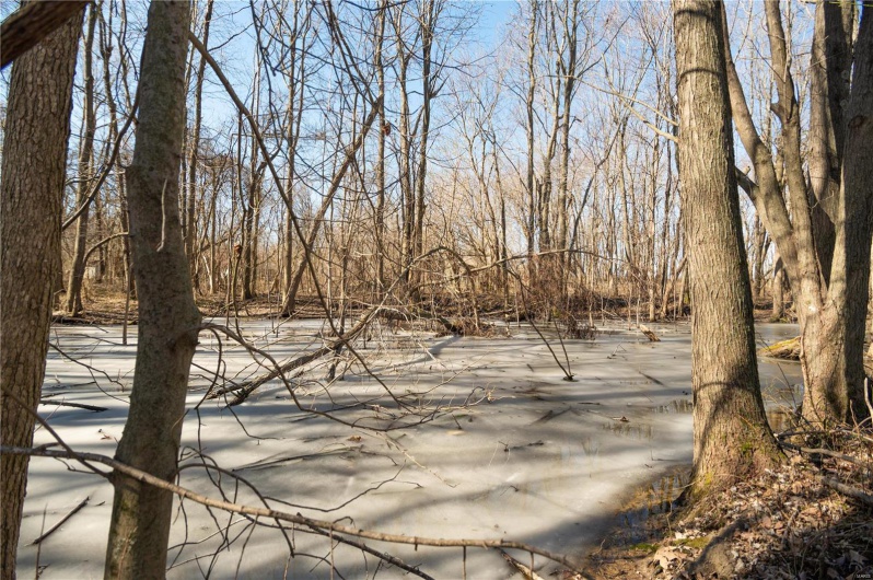 7567 County Road 639, Dexter, Missouri 63841, ,Farm,For Sale,County Road 639,MAR25012042
