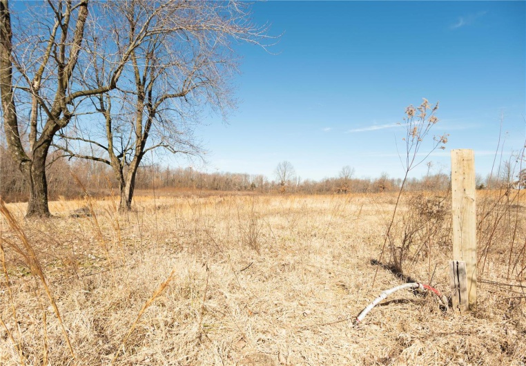 7567 County Road 639, Dexter, Missouri 63841, ,Farm,For Sale,County Road 639,MAR25012042