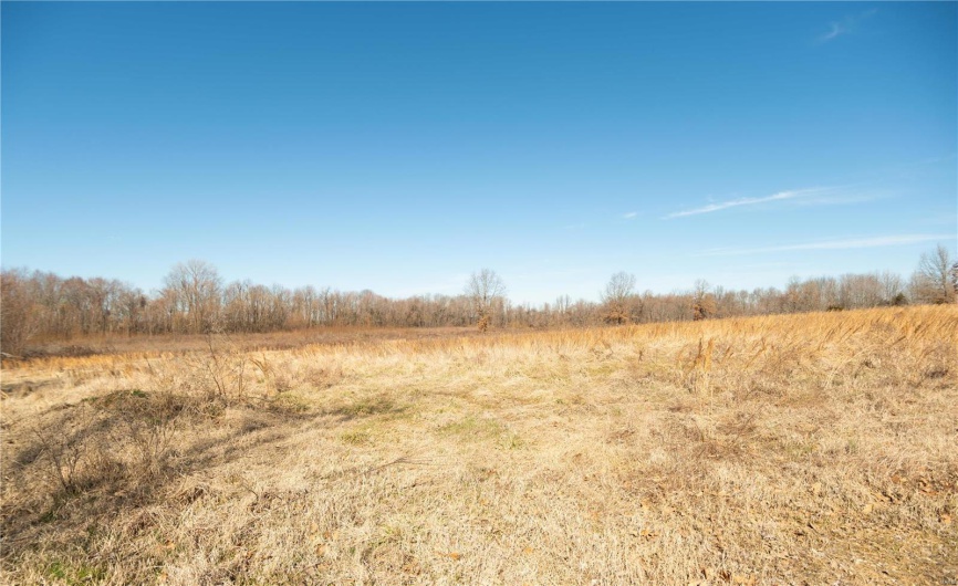 7567 County Road 639, Dexter, Missouri 63841, ,Farm,For Sale,County Road 639,MAR25012042