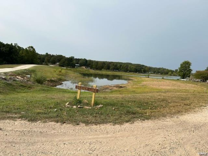 215 Michigan Drive, Ironton, Missouri 63650, ,Land,For Sale,Michigan,MAR25011680