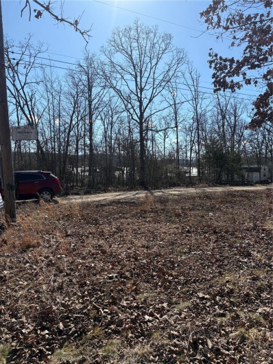 215 Michigan Drive, Ironton, Missouri 63650, ,Land,For Sale,Michigan,MAR25011680