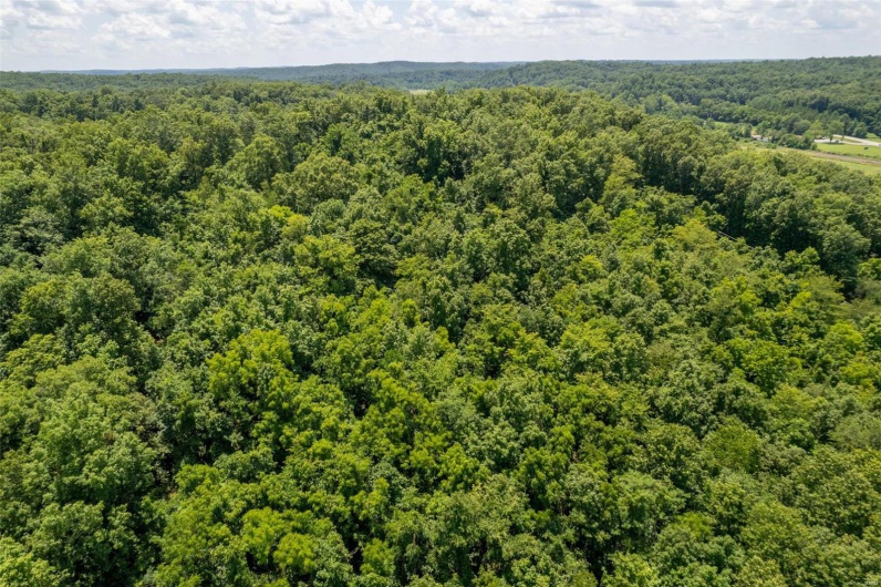 420 Business HH, Piedmont, Missouri 63957, 2 Bedrooms Bedrooms, 7 Rooms Rooms,1 BathroomBathrooms,Residential,For Sale,Business HH,MAR24046759