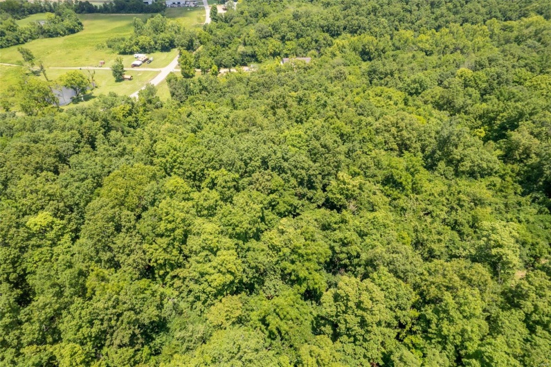 420 Business HH, Piedmont, Missouri 63957, 2 Bedrooms Bedrooms, 7 Rooms Rooms,1 BathroomBathrooms,Residential,For Sale,Business HH,MAR24046759