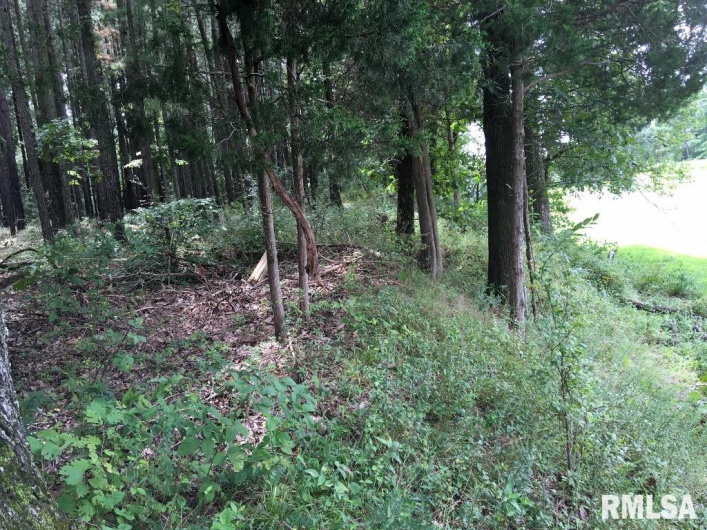 00 Parrish Ridge Lane, Goreville, Illinois 62972, 0 , 0 ,0,Land,For Sale,Parrish Ridge,0,RMAEB456919