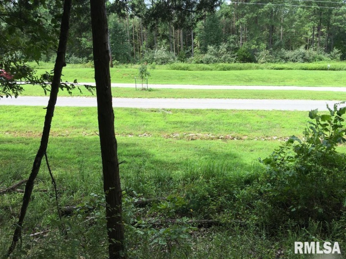 00 Parrish Ridge Lane, Goreville, Illinois 62972, 0 , 0 ,0,Land,For Sale,Parrish Ridge,0,RMAEB456919