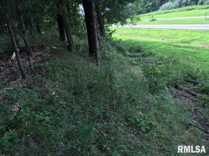 00 Parrish Ridge Lane, Goreville, Illinois 62972, 0 , 0 ,0,Land,For Sale,Parrish Ridge,0,RMAEB456919