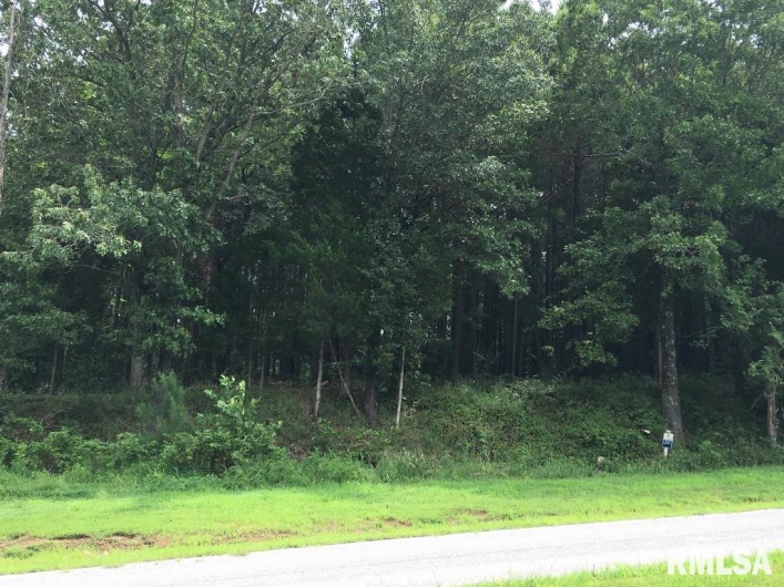 00 Parrish Ridge Lane, Goreville, Illinois 62972, 0 , 0 ,0,Land,For Sale,Parrish Ridge,0,RMAEB456919