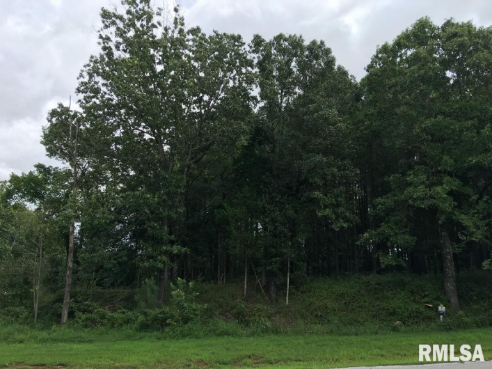 00 Parrish Ridge Lane, Goreville, Illinois 62972, 0 , 0 ,0,Land,For Sale,Parrish Ridge,0,RMAEB456919