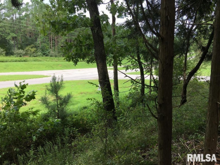00 Parrish Ridge Lane, Goreville, Illinois 62972, 0 , 0 ,0,Land,For Sale,Parrish Ridge,0,RMAEB456919