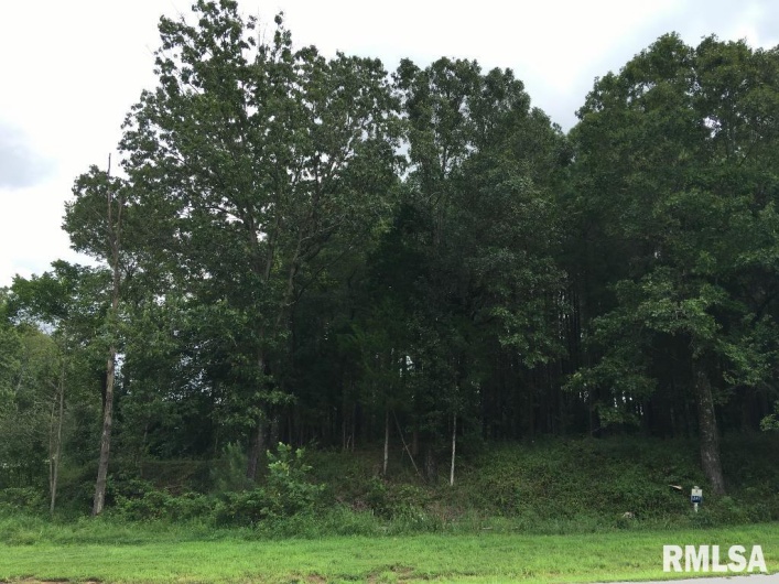 00 Parrish Ridge Lane, Goreville, Illinois 62972, 0 , 0 ,0,Land,For Sale,Parrish Ridge,0,RMAEB456919