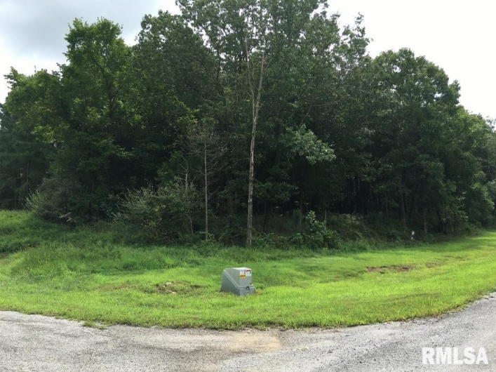00 Parrish Ridge Lane, Goreville, Illinois 62972, 0 , 0 ,0,Land,For Sale,Parrish Ridge,0,RMAEB456919