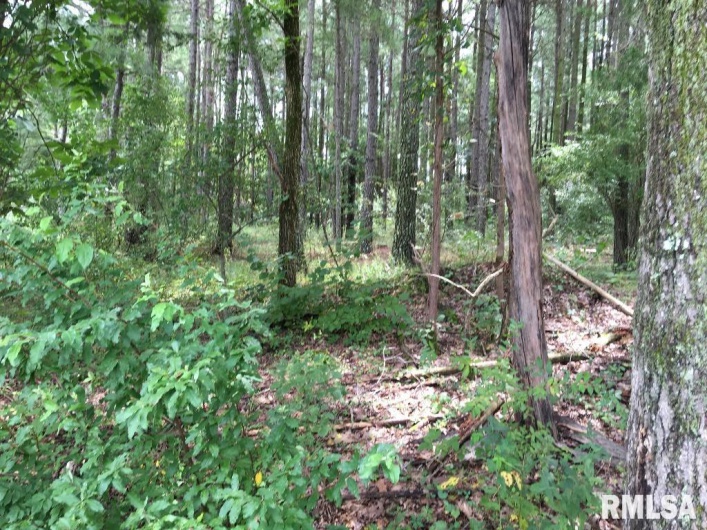 00 Parrish Ridge Lane, Goreville, Illinois 62972, 0 , 0 ,0,Land,For Sale,Parrish Ridge,0,RMAEB456919