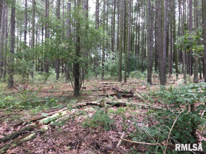 00 Parrish Ridge Lane, Goreville, Illinois 62972, 0 , 0 ,0,Land,For Sale,Parrish Ridge,0,RMAEB456919