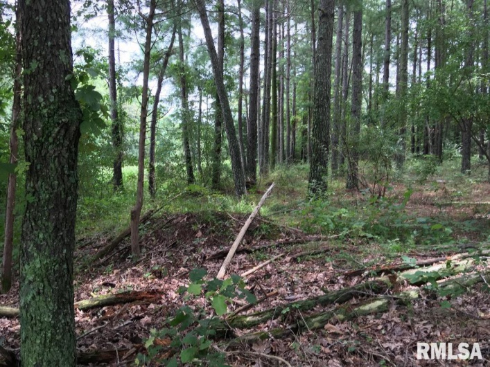 00 Parrish Ridge Lane, Goreville, Illinois 62972, 0 , 0 ,0,Land,For Sale,Parrish Ridge,0,RMAEB456919
