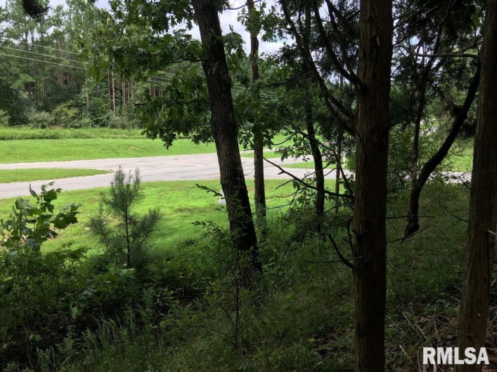 00 Parrish Ridge Lane, Goreville, Illinois 62972, 0 , 0 ,0,Land,For Sale,Parrish Ridge,0,RMAEB456919