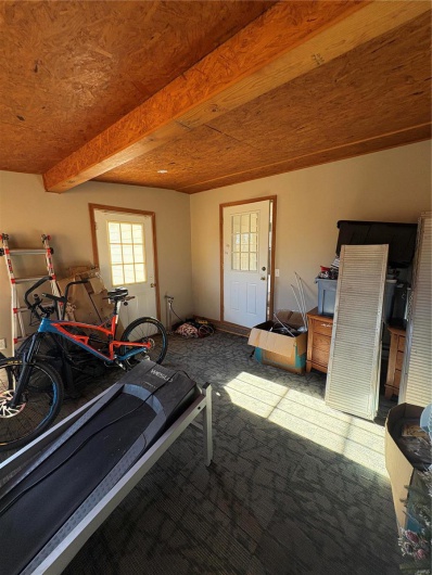 Workout area featuring carpet
