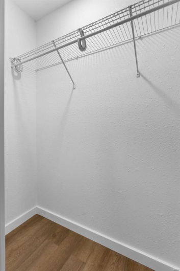 Spacious closet featuring wood finished floors