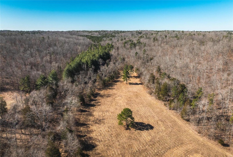 1885 Wayne Co 371, Piedmont, Missouri 63957, 6 Bedrooms Bedrooms, 8 Rooms Rooms,2 BathroomsBathrooms,Farm,For Sale,Wayne Co 371,MAR25012379