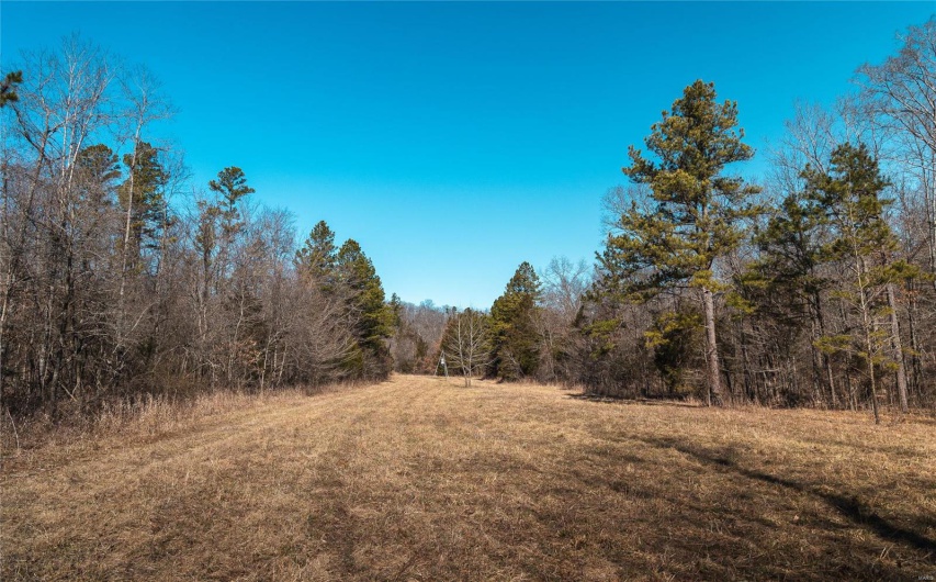 1885 Wayne Co 371, Piedmont, Missouri 63957, 6 Bedrooms Bedrooms, 8 Rooms Rooms,2 BathroomsBathrooms,Farm,For Sale,Wayne Co 371,MAR25012379