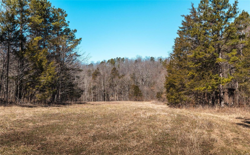 1885 Wayne Co 371, Piedmont, Missouri 63957, 6 Bedrooms Bedrooms, 8 Rooms Rooms,2 BathroomsBathrooms,Farm,For Sale,Wayne Co 371,MAR25012379