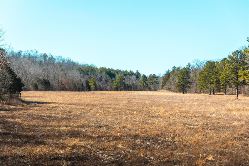 1885 Wayne Co 371, Piedmont, Missouri 63957, 6 Bedrooms Bedrooms, 8 Rooms Rooms,2 BathroomsBathrooms,Farm,For Sale,Wayne Co 371,MAR25012379