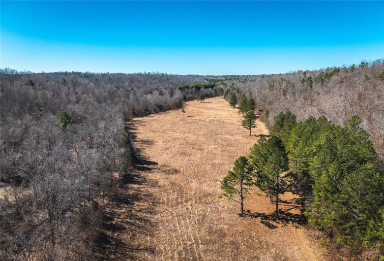1885 Wayne Co 371, Piedmont, Missouri 63957, 6 Bedrooms Bedrooms, 8 Rooms Rooms,2 BathroomsBathrooms,Farm,For Sale,Wayne Co 371,MAR25012379