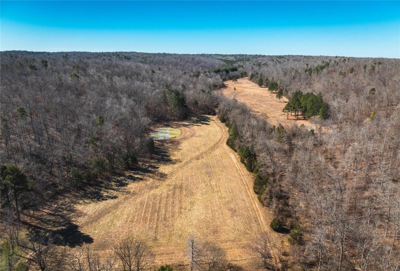 1885 Wayne Co 371, Piedmont, Missouri 63957, 6 Bedrooms Bedrooms, 8 Rooms Rooms,2 BathroomsBathrooms,Farm,For Sale,Wayne Co 371,MAR25012379