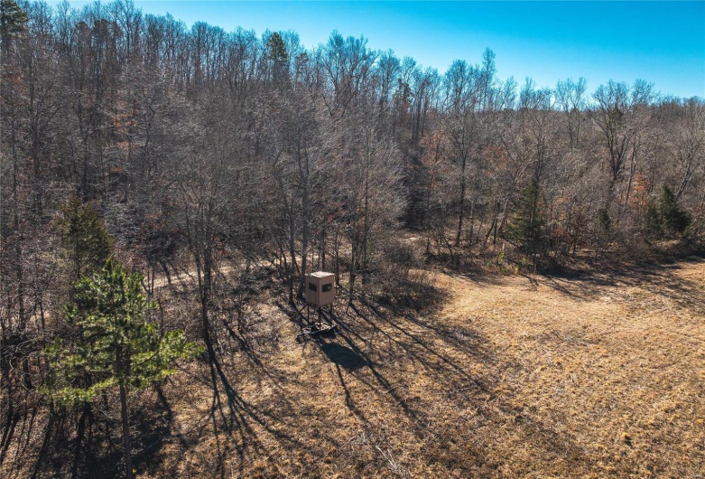 1885 Wayne Co 371, Piedmont, Missouri 63957, 6 Bedrooms Bedrooms, 8 Rooms Rooms,2 BathroomsBathrooms,Farm,For Sale,Wayne Co 371,MAR25012379
