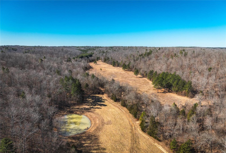 1885 Wayne Co 371, Piedmont, Missouri 63957, 6 Bedrooms Bedrooms, 8 Rooms Rooms,2 BathroomsBathrooms,Farm,For Sale,Wayne Co 371,MAR25012379