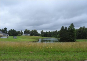 0 Tract 3 Bridgestone Estates, Harviell, Missouri 63945, ,Land,For Sale,Tract 3 Bridgestone Estates,MAR24000567
