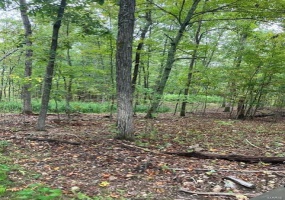 99 Madison CR 410, Fredericktown, Missouri 63645, ,Farm,For Sale,Madison CR 410,MAR25012503