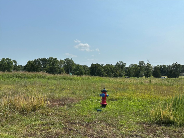 0 Hwy 67, Desloge, Missouri 63601, ,Commercial Sale,For Sale,Hwy 67,MAR25012531