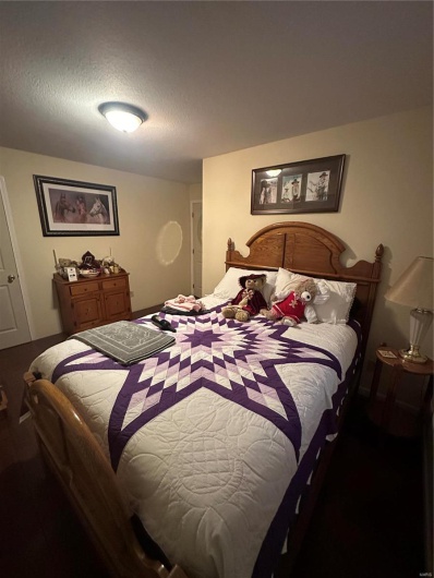 9964 Wayne Route FF, Patterson, Missouri 63956, 4 Bedrooms Bedrooms, 10 Rooms Rooms,3 BathroomsBathrooms,Farm,For Sale,Wayne Route FF,MAR25012649
