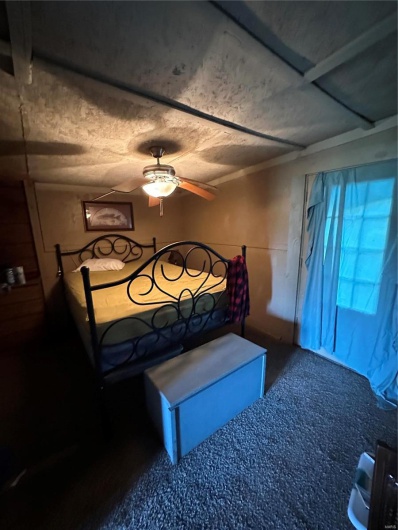 9964 Wayne Route FF, Patterson, Missouri 63956, 4 Bedrooms Bedrooms, 10 Rooms Rooms,3 BathroomsBathrooms,Farm,For Sale,Wayne Route FF,MAR25012649
