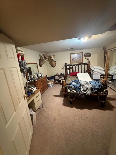 9964 Wayne Route FF, Patterson, Missouri 63956, 4 Bedrooms Bedrooms, 10 Rooms Rooms,3 BathroomsBathrooms,Farm,For Sale,Wayne Route FF,MAR25012649