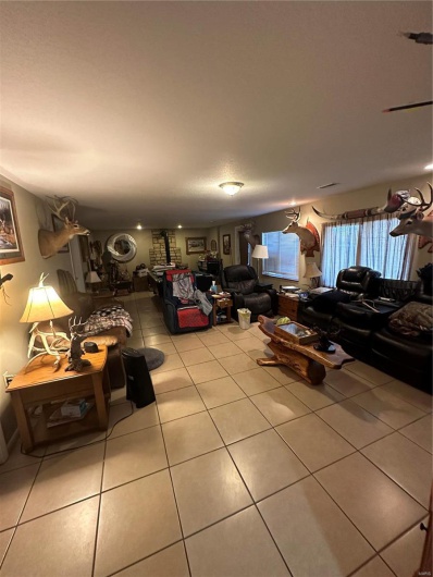 9964 Wayne Route FF, Patterson, Missouri 63956, 4 Bedrooms Bedrooms, 10 Rooms Rooms,3 BathroomsBathrooms,Farm,For Sale,Wayne Route FF,MAR25012649